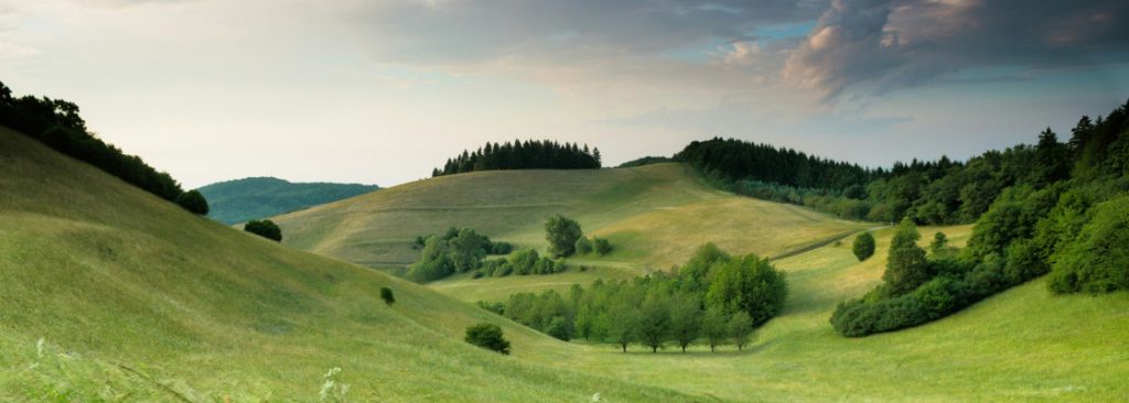 Services 03 1024x366