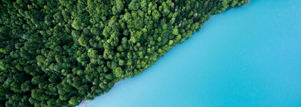 Services 04 1024x366